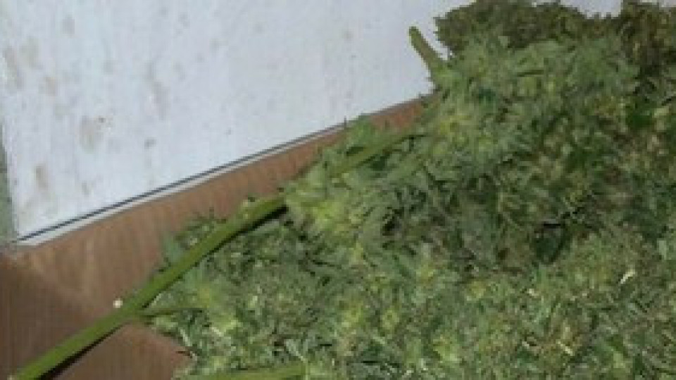 На Капитан Андреево задържаха 210 кг марихуана | StandartNews.com