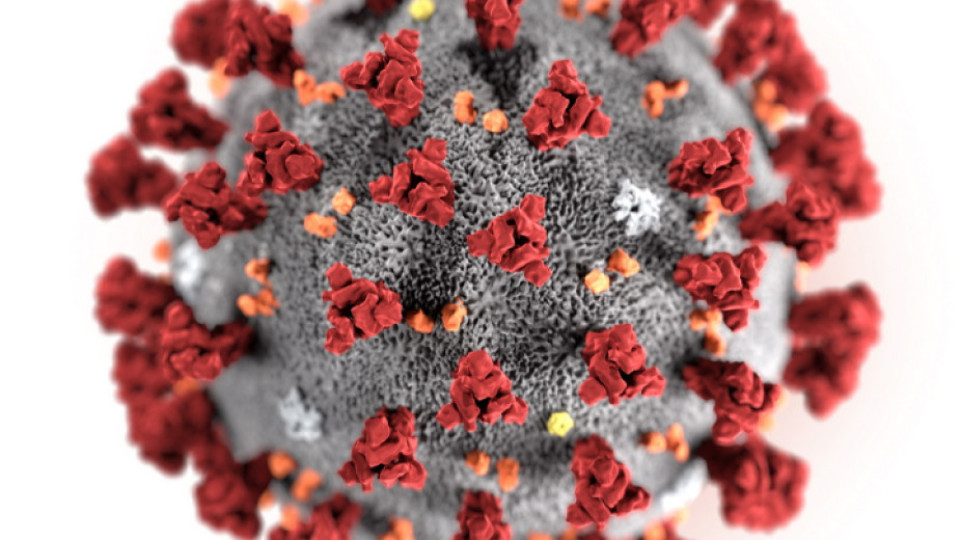Вижте как да борите коронавируса (ИНФОГРАФИКА) | StandartNews.com