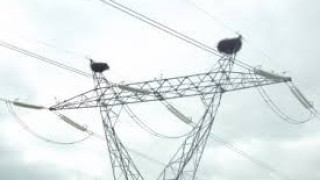 Прекъсват тока в столични квартали