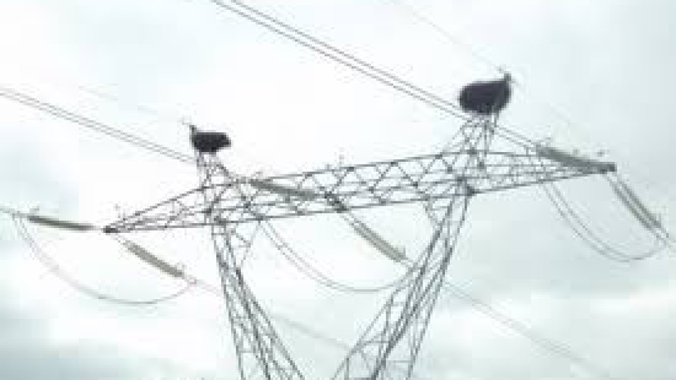 Прекъсват тока в столични квартали | StandartNews.com