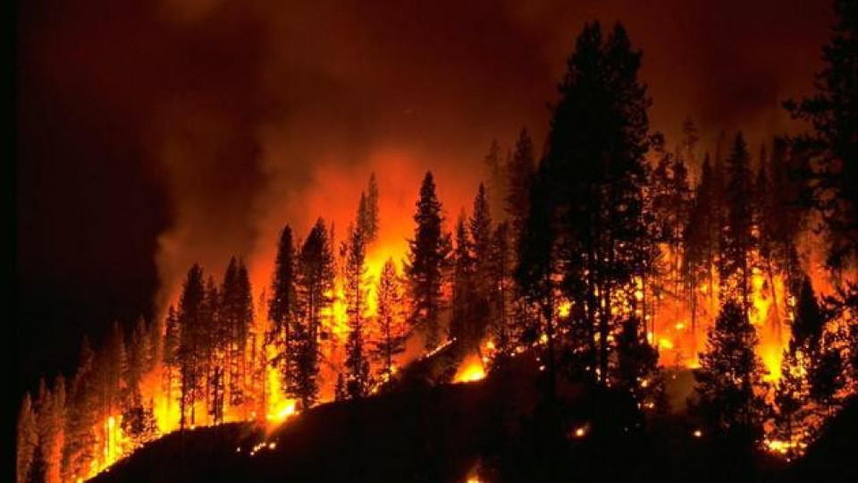 19 загинаха при горски пожар в Китай | StandartNews.com