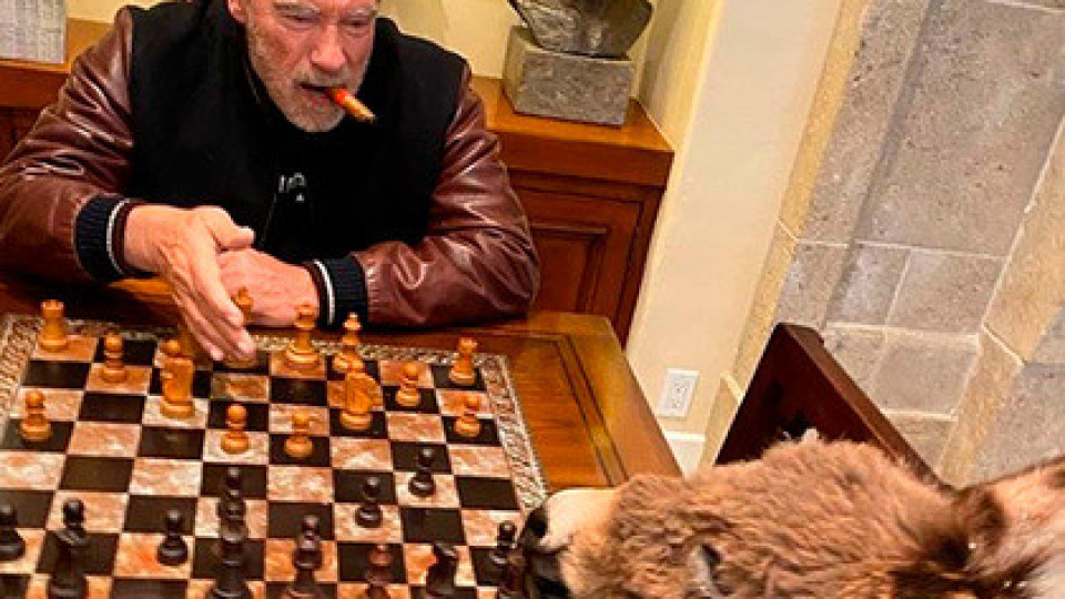 Арни играе шах с магаренцето | StandartNews.com