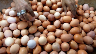 Нашенци печелят от незаконен внос на яйца в Гърция