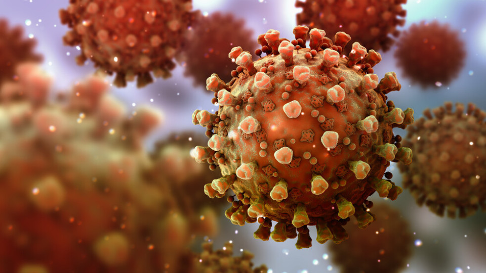 Заразяването с коронавирус най-вече от мръсни ръце | StandartNews.com