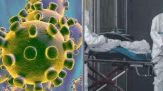 Колко време коронавирусът живее в тялото на човек