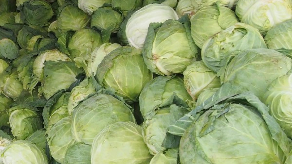 БАБХ спря над 20 тона зеленчуци | StandartNews.com