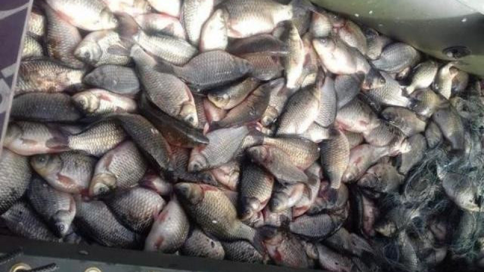 Конфискуваха 140 кг риба | StandartNews.com