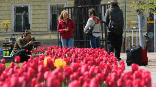 Православният свят отбелязва Цветница