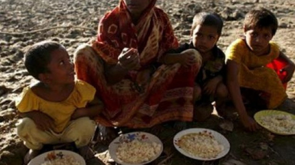 Криза за храни може да докара катастрофа | StandartNews.com