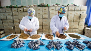 Традиционна китайска медицина помага срещу вируса