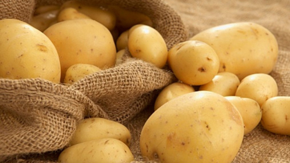 Картофите могат и да не са полезни | StandartNews.com