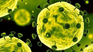 1024 са потвърдените случаи на COVID-19