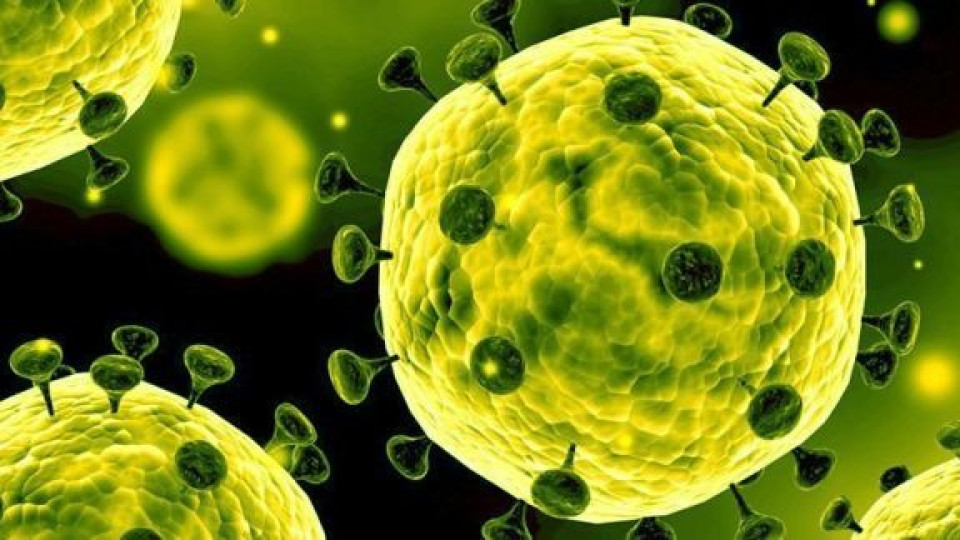 1024 са потвърдените случаи на COVID-19 | StandartNews.com
