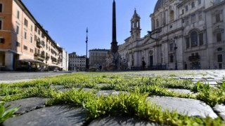Истинска трева проби паважа на Рим
