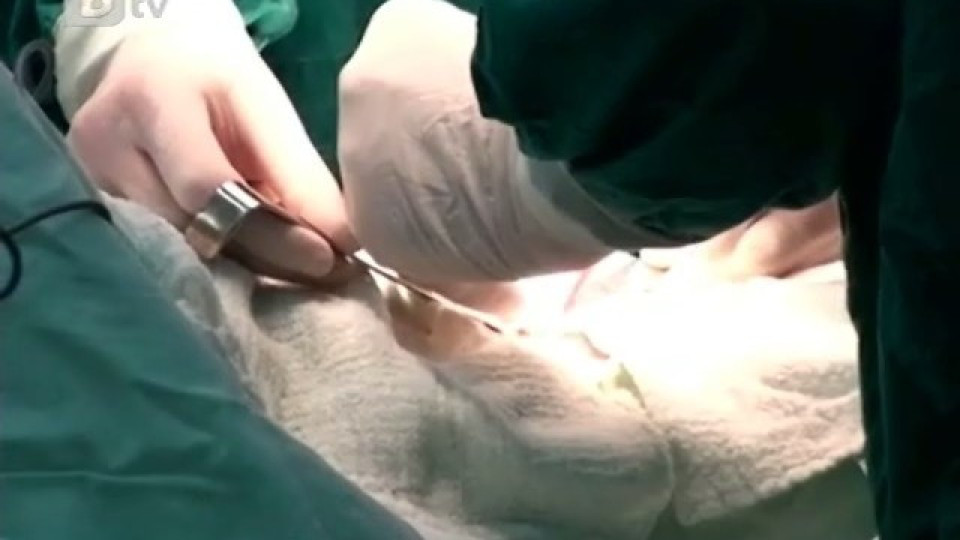 Лекари присадиха 6 органа на дете | StandartNews.com