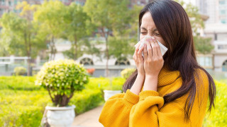 Как да различим сезонна алергия от коронавирус