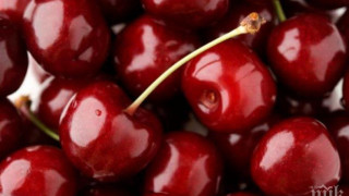Извадиха гръцките череши - 22 лв./кг