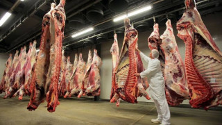 Наши работници изпозаразени в кланица в Германия