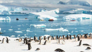 Живот без коронавирус? Само в Антарктида