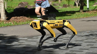 Куче-робот пази реда в Сингапур
