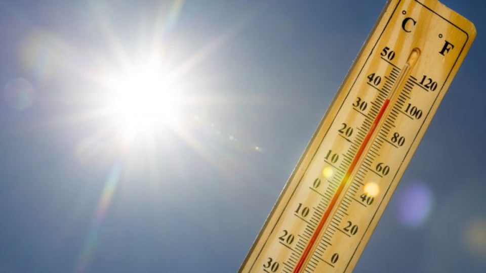 Летни жеги пържат вируса | StandartNews.com