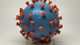 Ето как коронавирусът прониква в тялото най-лесно