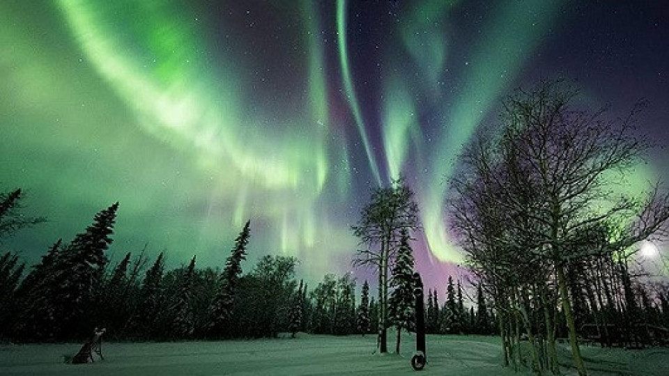 Северният магнитен полюс приближава Сибир | StandartNews.com