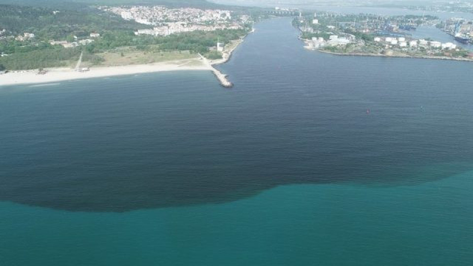 Мъртва риба във Варненския залив | StandartNews.com