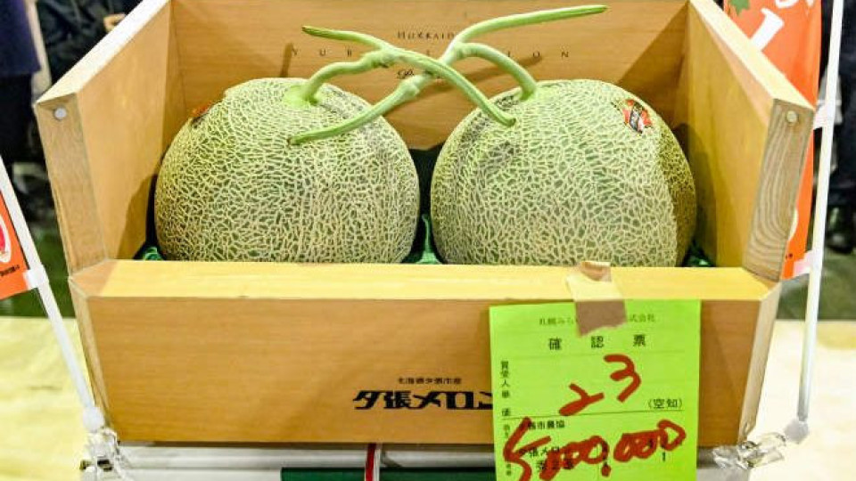 Вирусът поряза цената на скъпи японски пъпеши | StandartNews.com