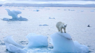 Измериха притеснително високи температури в Арктика