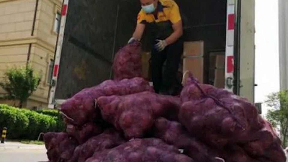 Жена прати 1000 кг лук на бившия си | StandartNews.com