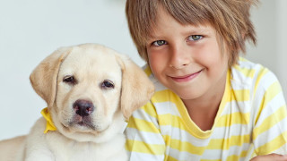 Кои породи кучета са подходящи за деца