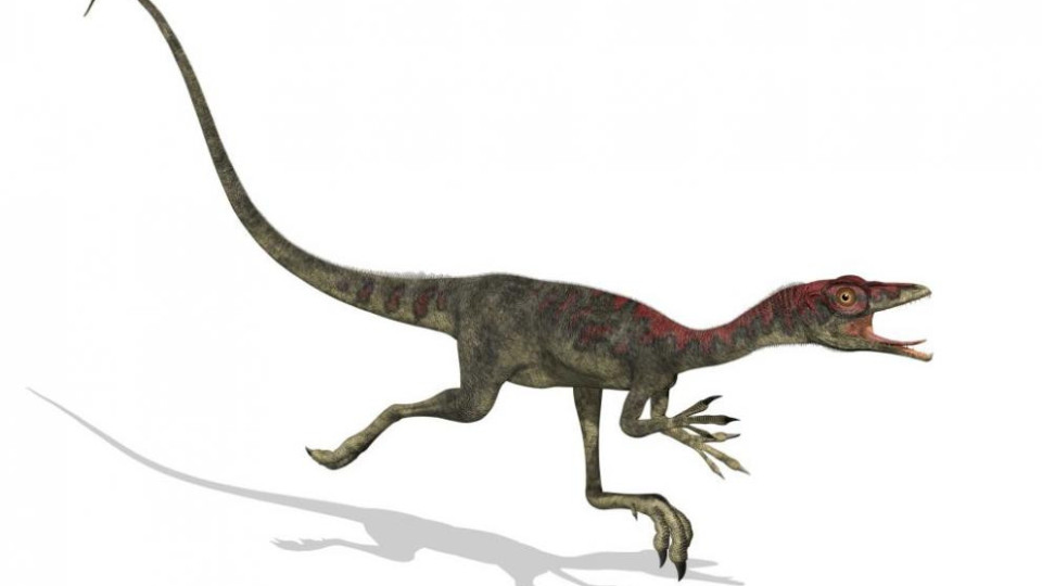 Откриха нов вид динозаври | StandartNews.com