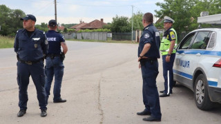 Осем ареста в полицейска акция във видинско