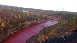 Екологичната катастрофа в Сев. Русия се разраства