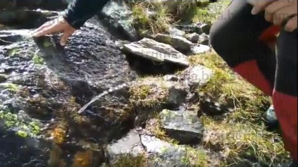 Планински спасители откриха чудо в Рила | StandartNews.com