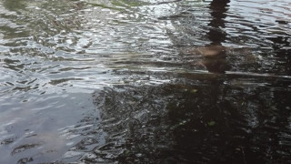 Пороен дъжд наводни пътя Велико Търново - Бяла