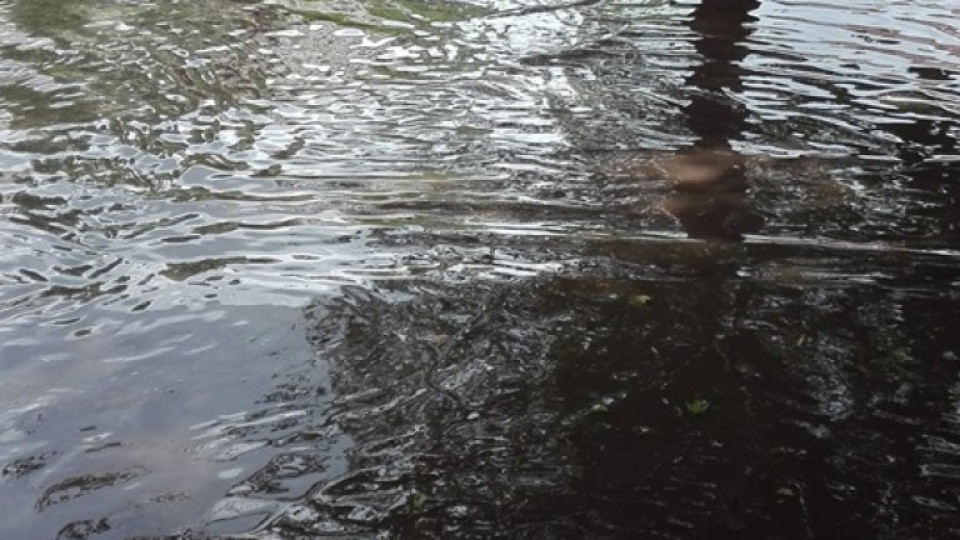 Пороен дъжд наводни пътя Велико Търново - Бяла | StandartNews.com