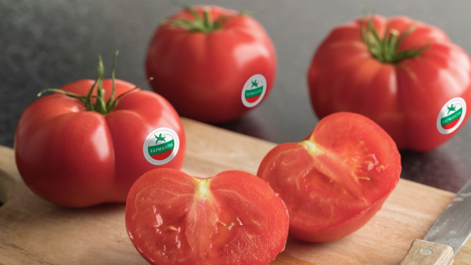 Три поколения земеделци съхраняват вкуса на розов домат от Харманли | StandartNews.com