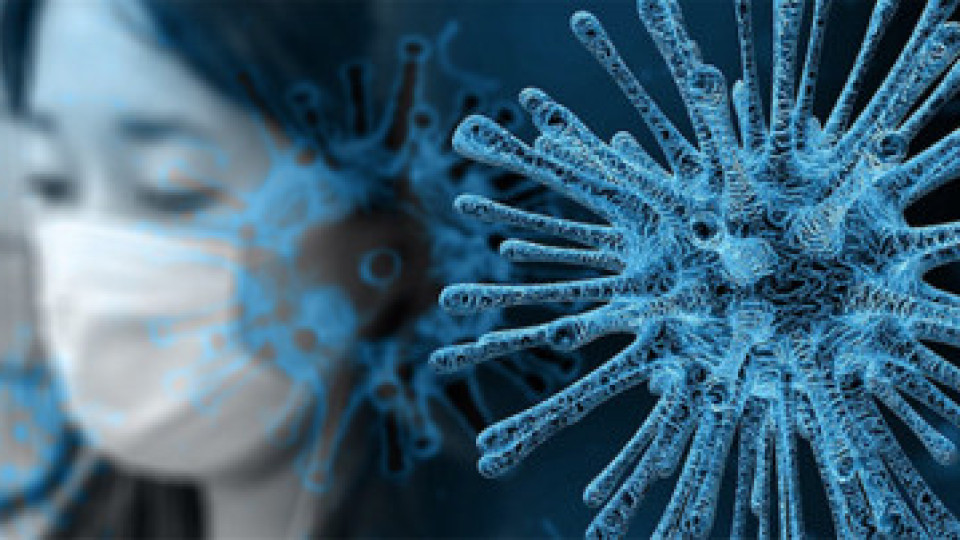 Крил ли е 4 месеца Китай коронавируса | StandartNews.com