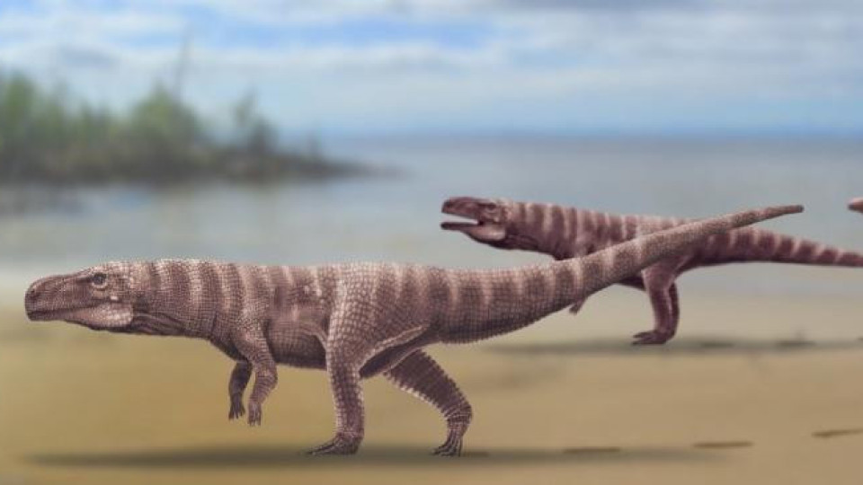 Древните крокодили ходели на задни лапи | StandartNews.com