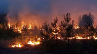 Огромни пожари обхванаха Сибир