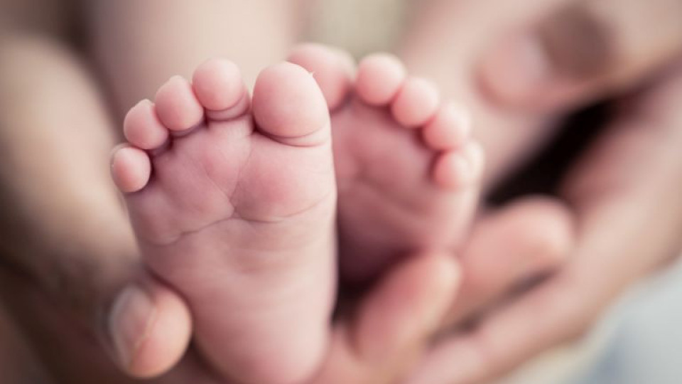 Различни цени за раждане | StandartNews.com
