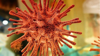 Коронавирусът живее 8 дни след смъртта на човек