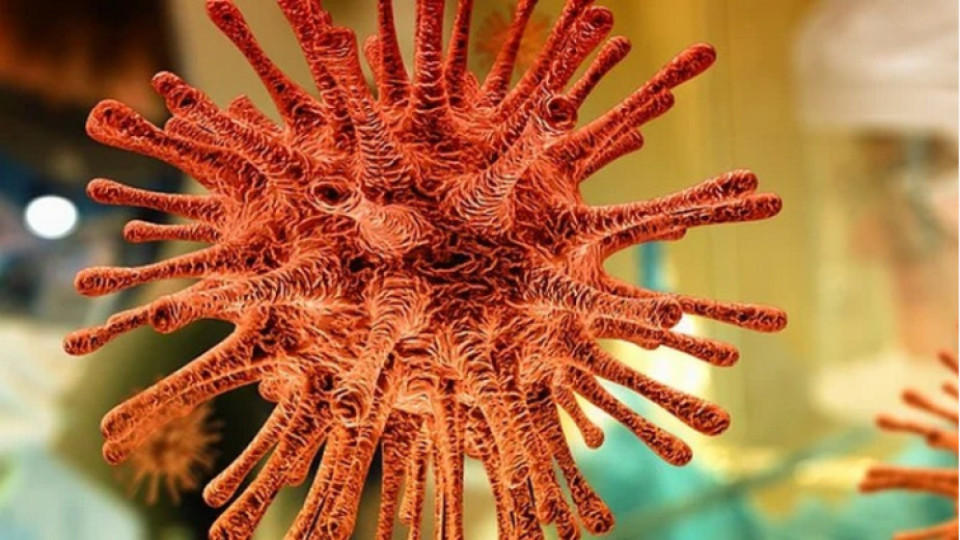 Коронавирусът живее 8 дни след смъртта на човек | StandartNews.com