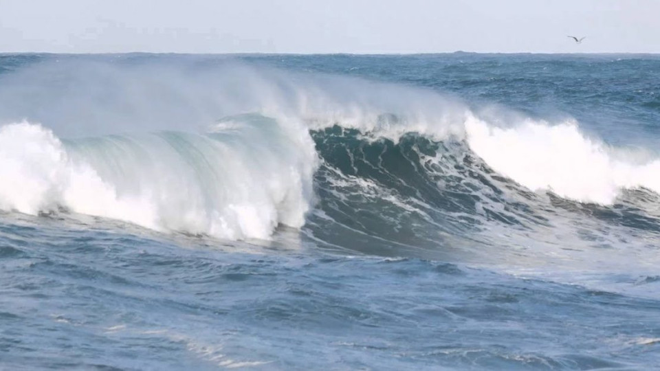 78-годишна софиянка се удави край Поморие | StandartNews.com