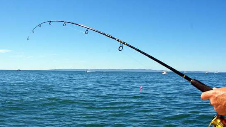 И в Черно море ще се лови риба с билет | StandartNews.com
