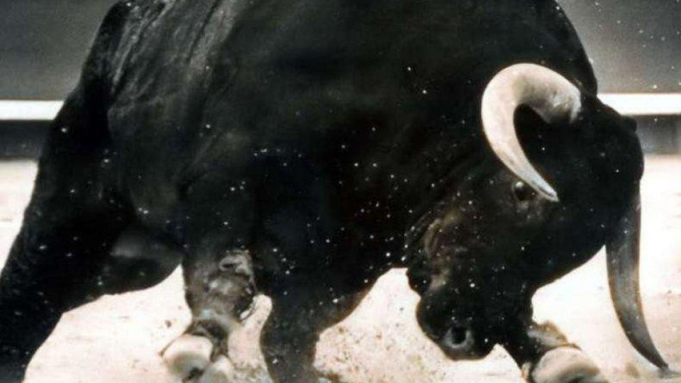 Разярен бик наръга работник от кравеферма | StandartNews.com