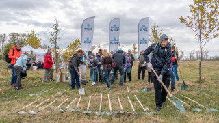 ОББ и ДЗИ с 4 отличия на наградите PR Приз