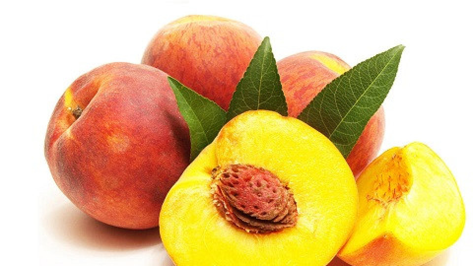 Прасковата - царицата на летните плодове | StandartNews.com